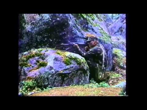 Finnish Defence Forces 1980s