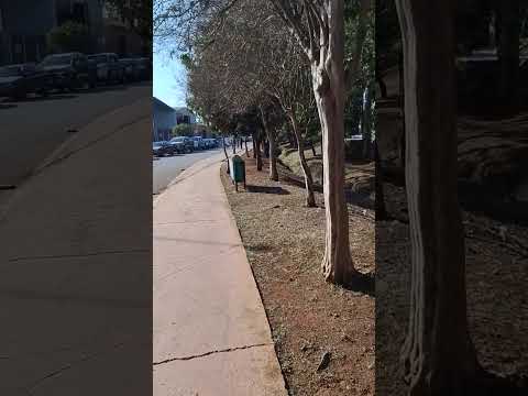 Cesário Lange Interior De São Paulo Caminhada Em Evento De Carros! #cesariolange #interiorsp