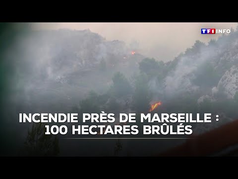 Incendie dans les Bouches-du-Rhône : 100 hectares brûlés et 150 habitants évacués
