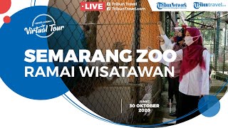 Pengelola Perketat Protokol Kesehatan, Semarang Zoo Jadi Tujuan saat Libur Panjang