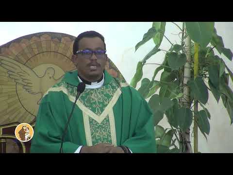 Celebración Eucarística - IV Domingo del Tiempo Ordinario 1 de feb del 2026