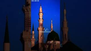 Ya Nabi Salam Alayka | Meher Zain | Islamic Status