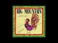 Big Mountain - Let You Go