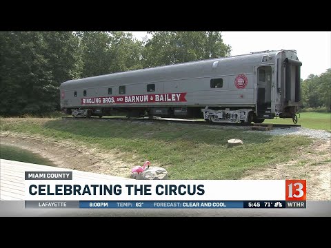 Celebrating the circus