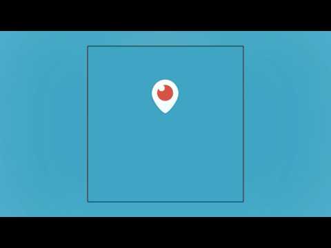 YRN Lingo - Lingo x Fans