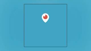 YRN Lingo - Lingo x Fans