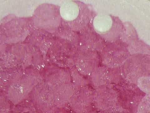 Kashh2602 x BabyMula - Perks & Lean