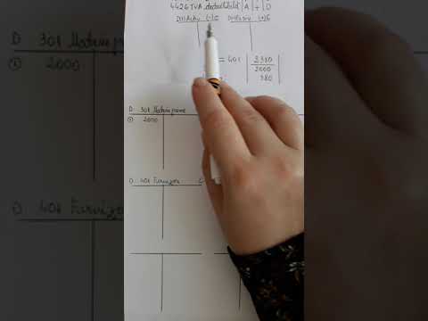 ACCOUNTING BASICS - Application 1 Part I_Valentina Menegatos