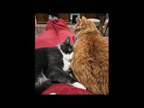 Episode 2985 CWSA 10/11/25