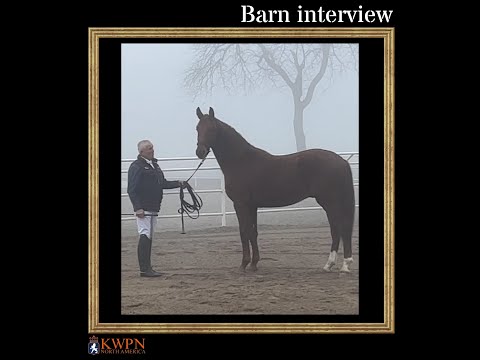 Barn visit Willy Arts/ DG Bar Ranch
