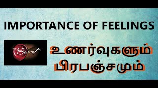 Emotions and Universe