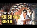 Story Of Krishna S Birth Krishna Janmashtami