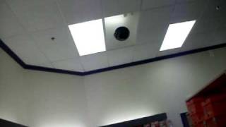 One Last Sunset Zombies!