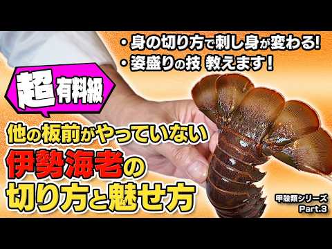 【超有料級】伊勢海老の捌き方・後編｜刺身の基本と姿盛りの技、花が咲く洗いの極意｜甲殻類シリーズ Part.3