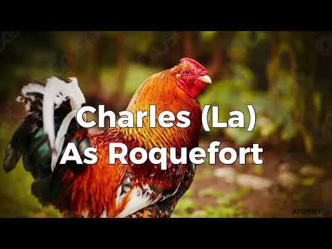 The AristoAnimals (Movie 2024 Live Action) Cast Video (Upcoming Coming Soon)