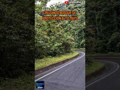 BOSQUE DE PROTECCIÓN ALTO MAYO 🌴⛰️🥥 #moyobamba  #amazonas #selva #viajes #rioja #turismo #fyp #peru