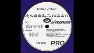 Rabbit In The Moon - Dusk