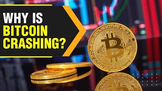 Largest cryptocurrency Bitcoin is crashing – why? | WION Originals