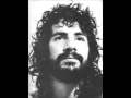 Cat Stevens - Image of Hell