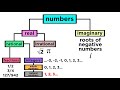 What are the Types of Numbers? Real vs. Imaginary, Rational vs. Irrational