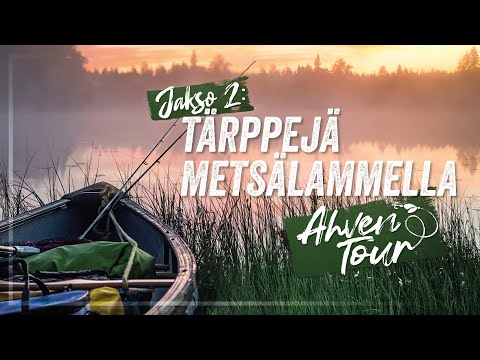 YÖ AHVENLAMMELLA & PINTAVIEHEKALASTUSTA | AhvenTour'22 jakso 2