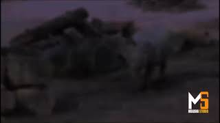 Download lagu SAUTI YA PESA LISAKA MBASHA STUDIO DJ JIDOGA 2023 mp3 Download lagu SAUTI YA PESA LISAKA MBASHA STUDIO DJ JIDOGA 2023 mp3