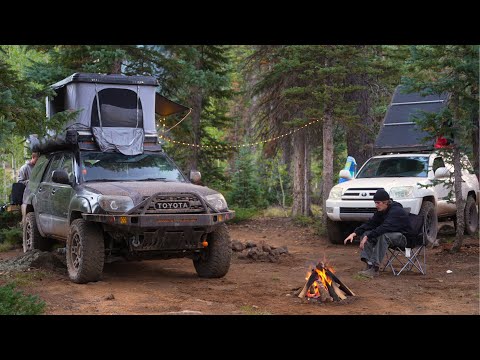 Wildes Truck Camping im Wald | Overlanding Abenteuer