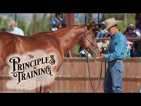 The Principles of Training Season 1 Episode 5: "Do the Opposite"