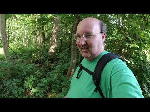 MongoTV_3239 - English Vlog_0140 - HEATWAVE Timber Station In Frederiksdal