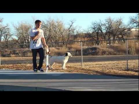 January Skateboarding, Rapid City.