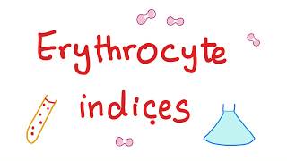 Erythrocyte indices (Hemoglobin, Hematocrit, MCV, MCH & MCHC) What Do These Lab Tests Mean?