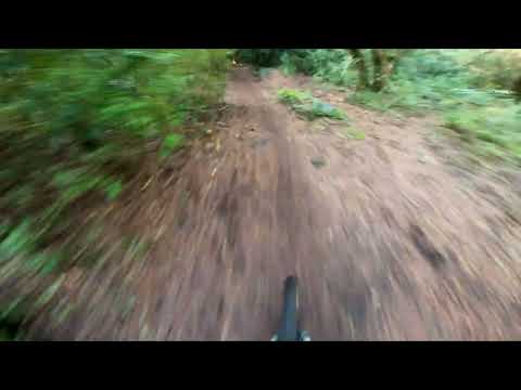 El monasterio downhill pucon
