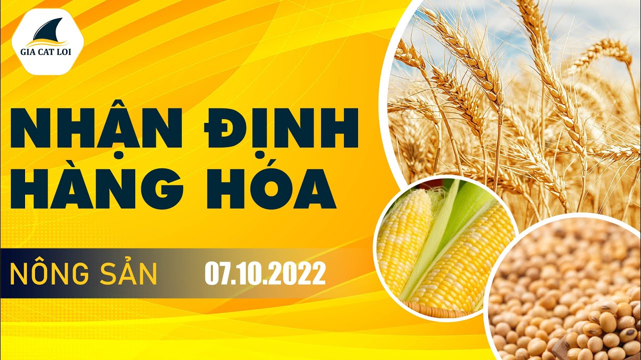 Nhận Định Thị Trường Nông Sản Ngày 07/10/2022