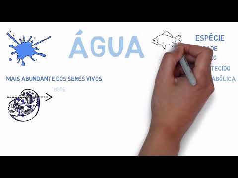 Componentes químicos da célula