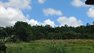 Download lagu The Dance company  - Papa ga pulang beibeh ( papa rock n roll) mp3 Download lagu The Dance company  - Papa ga pulang beibeh ( papa rock n roll) mp3