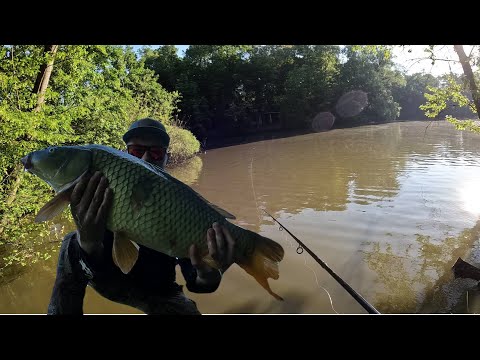 Lov kaprů na mlaskačku