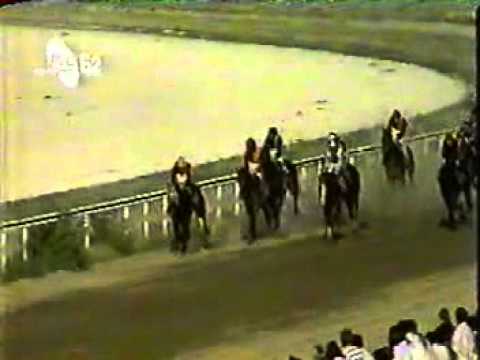 Jugoslovenski derbi 1993. godine