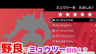 【ポケモン剣盾】野良でもクリア！？攻略用ポケモン紹介【ミュウツーレイド攻略】