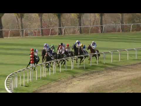 Avenches/19.10.2018/Prix de Fehraltorf