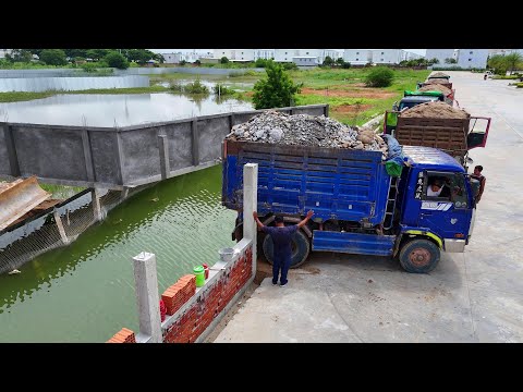 Be Careful Incredible Start New Landfill Task!! By Dump Truck 5Ton & Dozer KOMAT’SU Pushing Soil