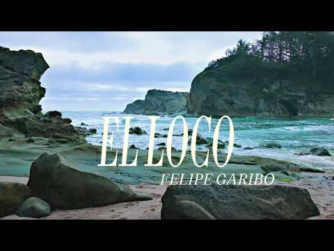 FELIPE GARIBO - El Loco / Video Canto / Letra