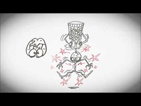 Schmerzen verstehen: Brainman stoppt seine Opiate