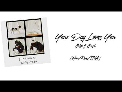 Colde (콜드) - Your Dog Loves You (ft. Crush) Lyrics | Terjemahan