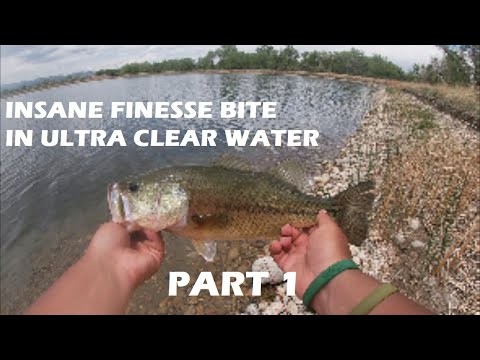 EPIC Finesse Fishing Bite In ULTRA CLEAR WATER!!! (Part 1)