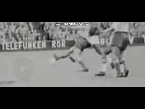 Pele did not made assist in FIFA World cup Final 1958.