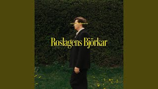 Download lagu Roslagens Björkar mp3