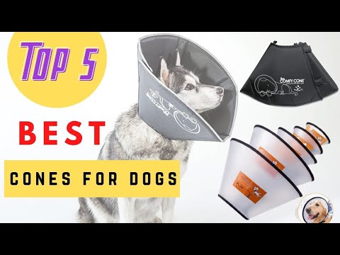 Top 5 Best Cones For Dogs Review 2021