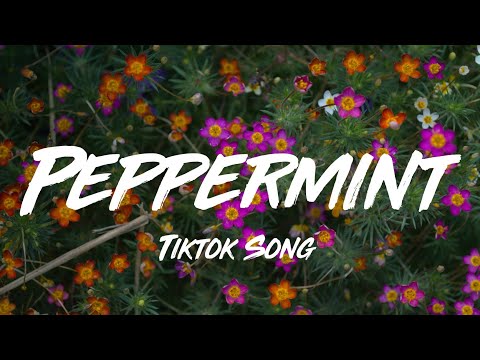 Peppermint (feat. Lexy) - Jack Stauber (Lyrics)