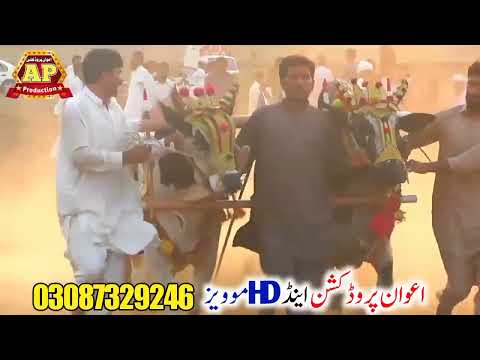 jalsa Karah Dhulli. 2022