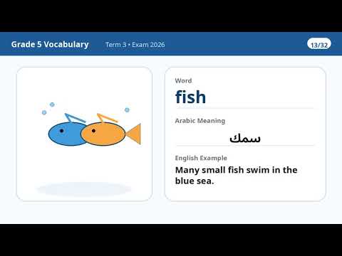 المفردات المطلوبة لاختبار نهاية الفصل الثالث